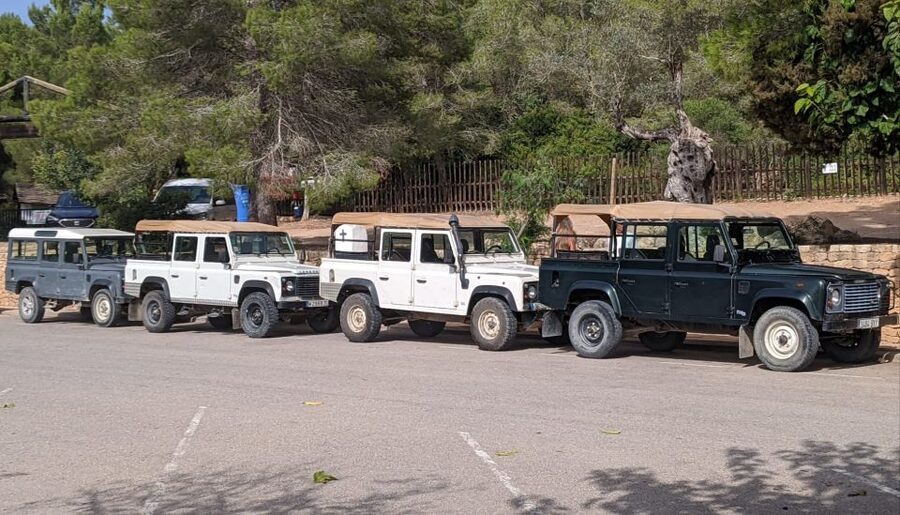 Ibiza: Jeep Safari Island Exploration - Why this Jeep safari changes your view of Ibiza