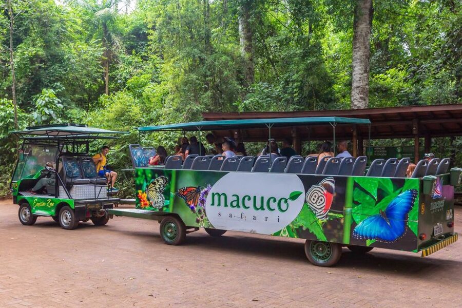 Iguassu Falls: Guided Tour & Macuco Safari on Pontoon Boats - The Macuco Safari through the forest