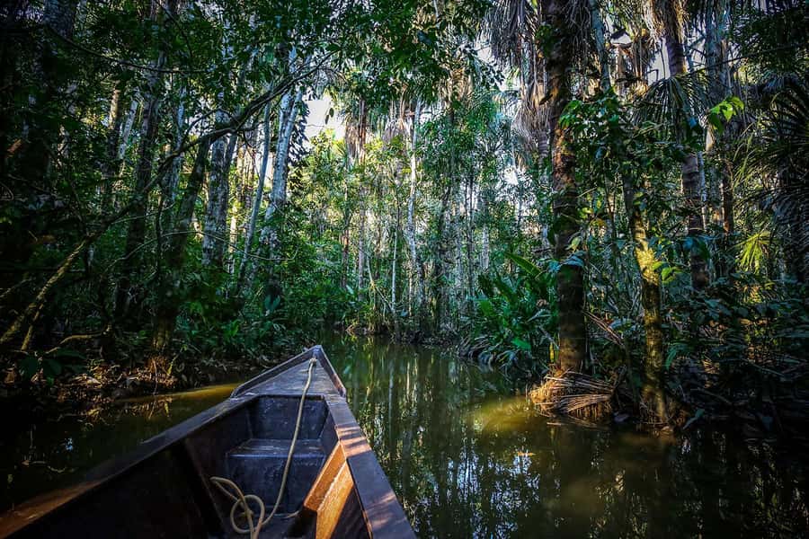Iquitos: Full Day Tour in the Jungle | Amazon Safari - Lunch at the lodge and the short afternoon