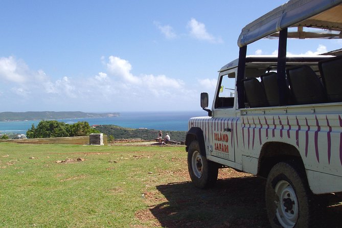 Island Safari Discovery - Horford Hill and the view toward Falmouth Port