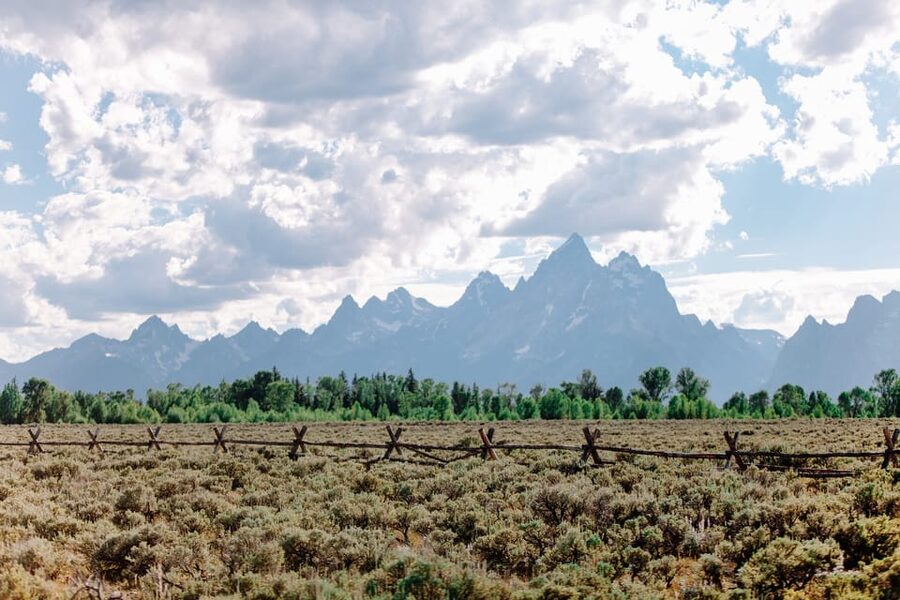 Jackson: Grand Teton Sunrise Safari with Naturalist Guide - At a glance