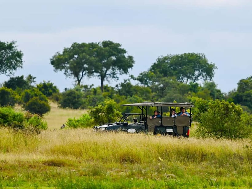 Jaipur: Jhalana Amagarh Leopard Reserve 4×4 Jeep Safari - Key points to know before you go
