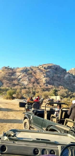 Jaipur: Jhalana Amagarh Leopard Reserve 4×4 Jeep Safari - Choosing morning, afternoon, or sunset