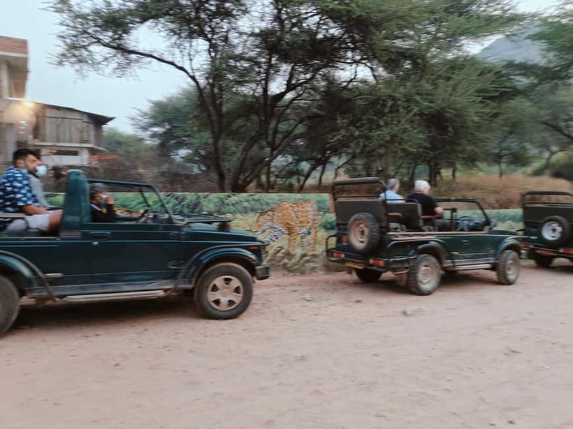 Jaipur: Jhalana Amagarh Leopard Reserve 4×4 Jeep Safari - Is the $60 price good value?