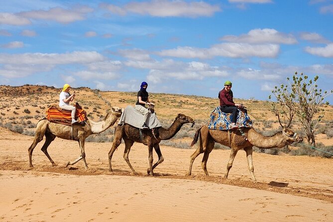 Jeep 4x4 Safari Desert Dunes & Atlantic Ocean with Berber Lunch - A short look at Souss-Massa National Park