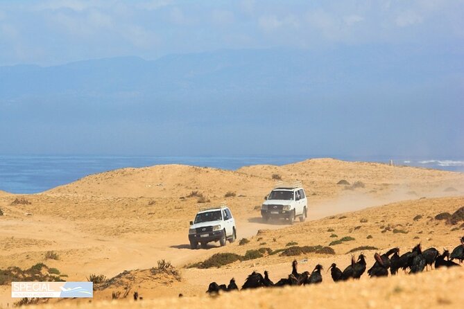 Jeep 4x4 Safari Desert Dunes & Atlantic Ocean with Berber Lunch - Riding the sandy Atlantic route in a 4x4