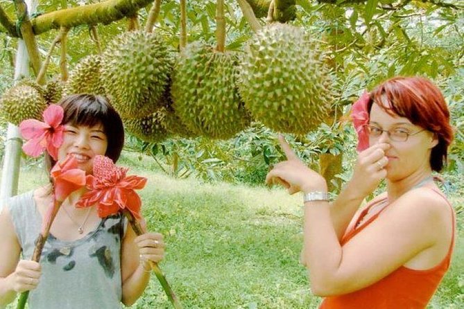 JEEP JUNGLE SAFARI Around Koh Samui(Eco Friendly)including Lunch - What This Koh Samui Day Trip Actually Feels Like