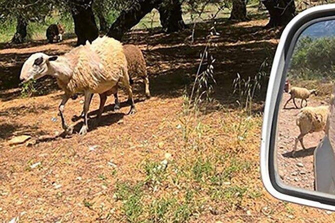 Jeep Safari 4x4 Crete real off road mountain tracks with Lunch from Hersonissos - What the guides add to the day