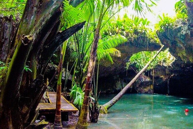 Jeep Safari All Inclusive Private Tour - At a Glance: What Makes This Cozumel Tour Different