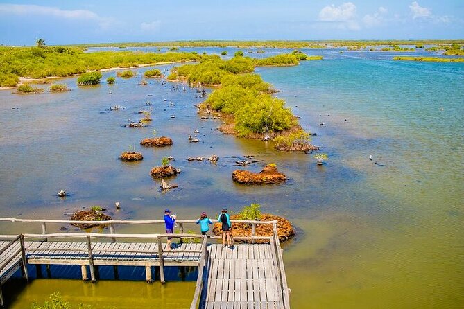 Jeep Safari All Inclusive Private Tour - Coco’s Beach Club: Lunch and a Chance to Slow Down