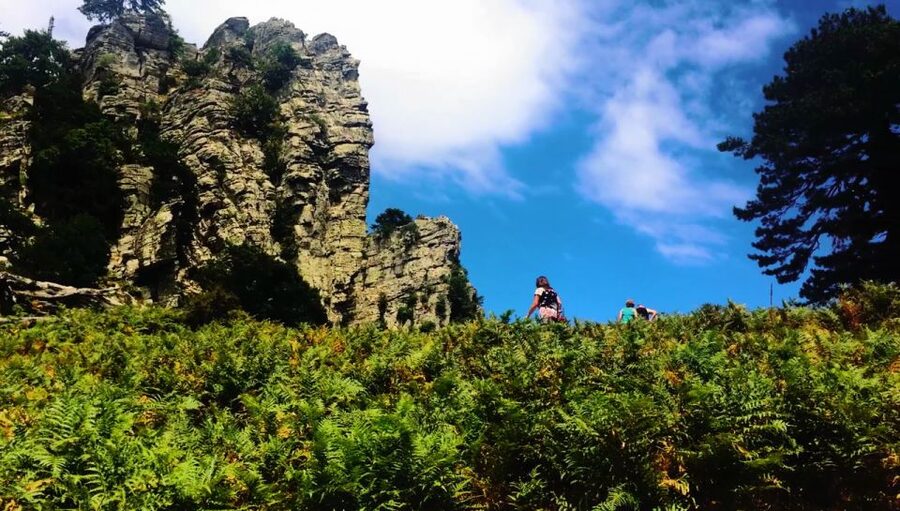 Jeep Safari in Thassos Mountain with picnic fruits & wine - What your $81 pays for