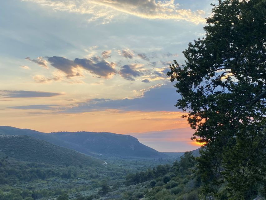 Jeep Safari in Thassos Mountain with picnic fruits & wine - Guides who shape the day