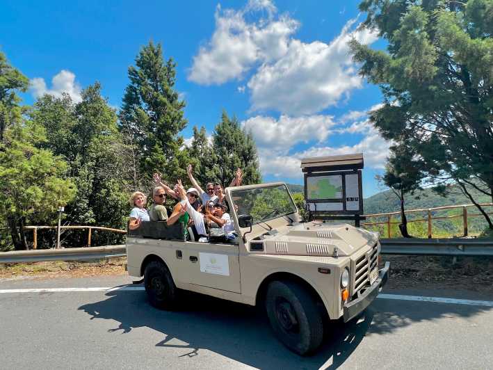 Jeep safari in the Aspromonte National Park - Key points to know before booking