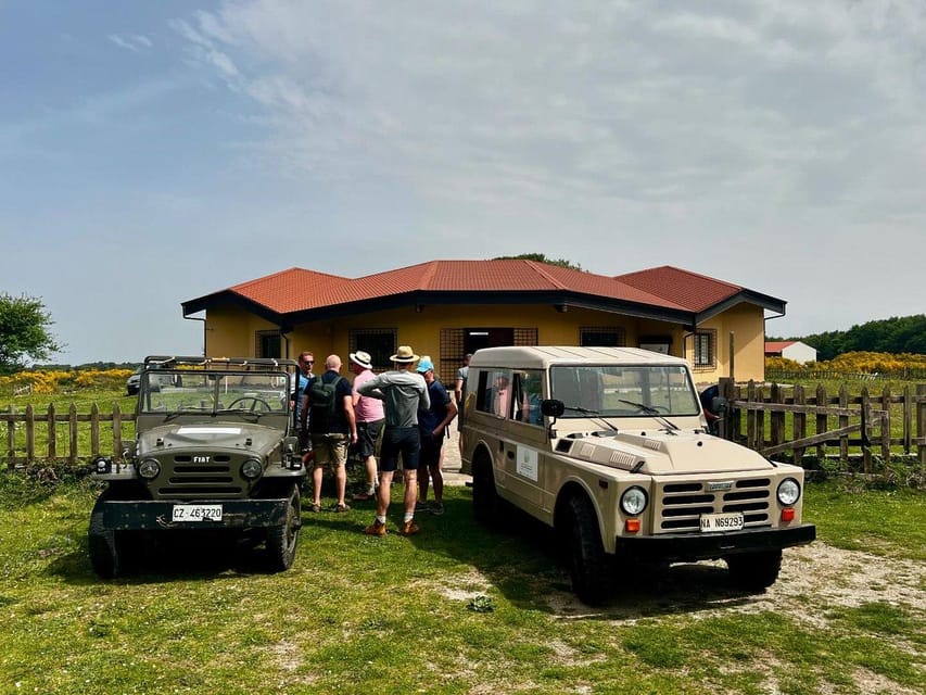 Jeep safari in the Aspromonte National Park - The experience in one honest view