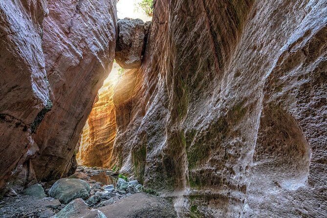 Jeep Safari to Akamas National Park: Avakas Gorge Tour from Paphos - What this Akamas jeep safari is really like