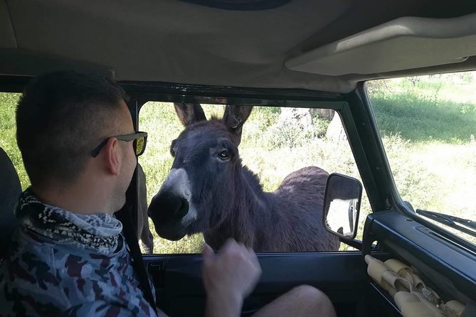 Jeep Safari to Akamas National Park: Avakas Gorge Tour from Paphos - Lara Bay and the turtle conservation station