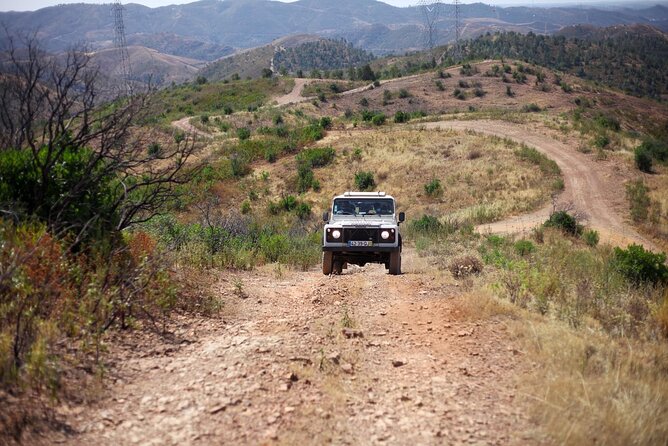 Jeep Safari to Akamas National Park: Avakas Gorge Tour from Paphos - Crossing the Akamas forest and swimming