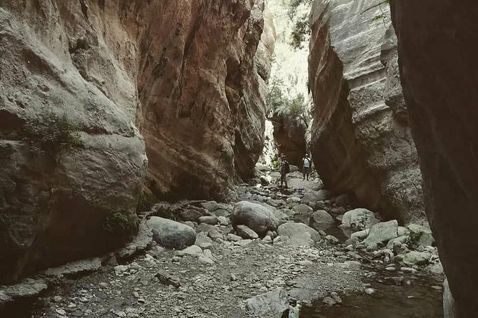Jeep Safari to Akamas National Park: Avakas Gorge Tour from Paphos - Price, timing, and the value of the day