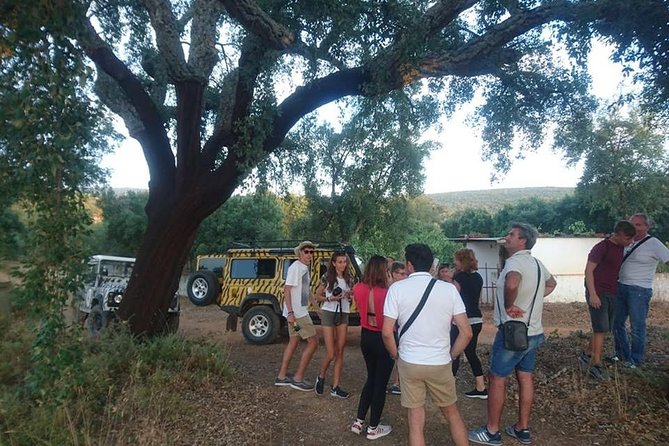Jeep Safari Tour - Full Day - The optional lunch and what your $68.96 covers