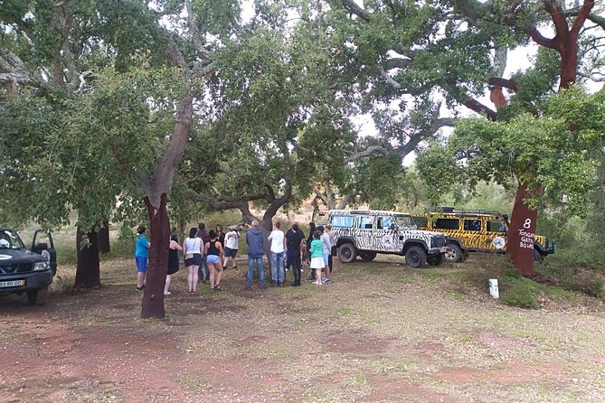 Jeep Safari Tour - Half Day - Sarnadas, mountain roads, and wide views