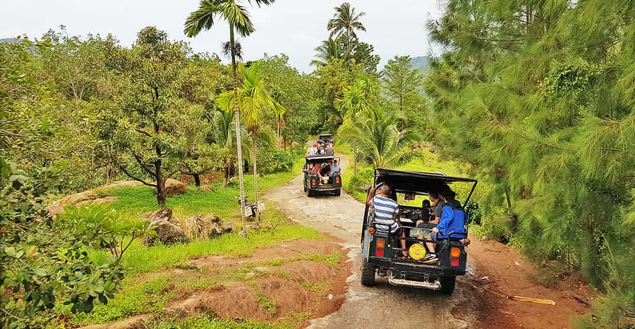 Jeep Tour Koh Samui Jungle Safari Full Day Adventure - What the $56 tour really gives you