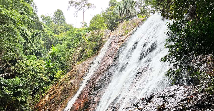 Jeep Tour Koh Samui Jungle Safari Full Day Adventure - Wat Khunaram and the mummified monk