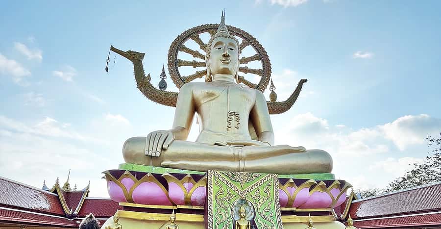 Jeep Tour Koh Samui Jungle Safari Full Day Adventure - Secret Buddha Garden at 600 meters
