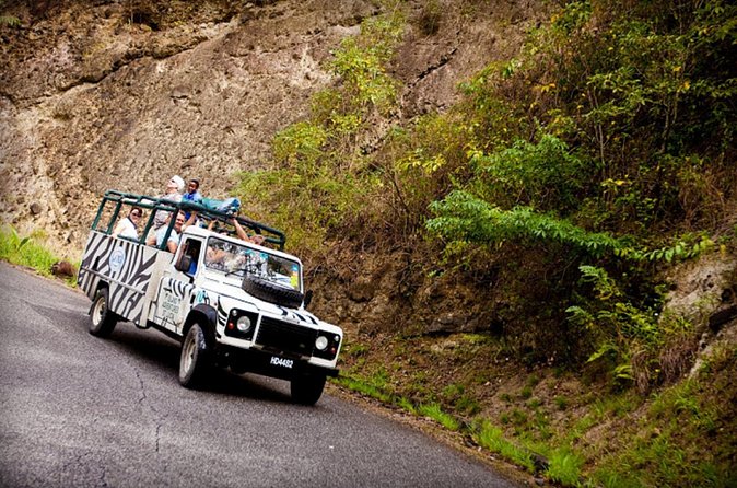 Jeep & Zip Safari St. Lucia From Castries - What $157.90 gets you