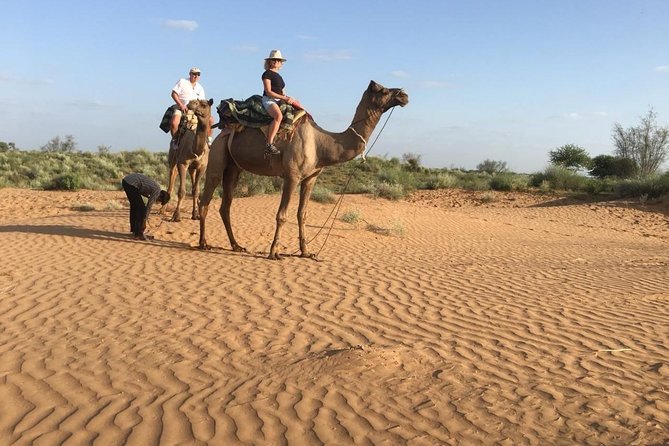 Jodhpur Camel Safari & Jeep Safari In Desert Jodhpur SR - The camel ride: slow travel through desert country