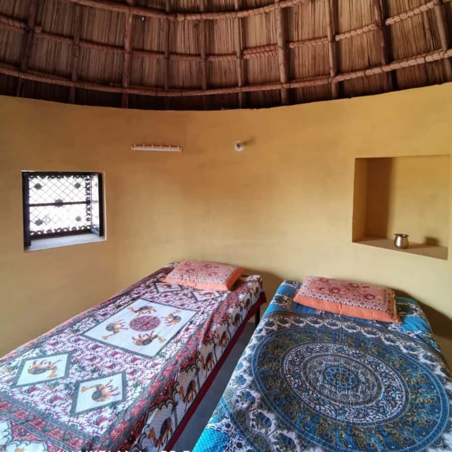Jodhpur Camel Safari & Overnight Stay In Desert With Sumer - Sunset walks, wildlife, and the optional jeep safari