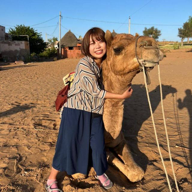 Jodhpur: Desert Camel and Jeep Safari with Traditional Food - Why this trip feels different from a standard safari
