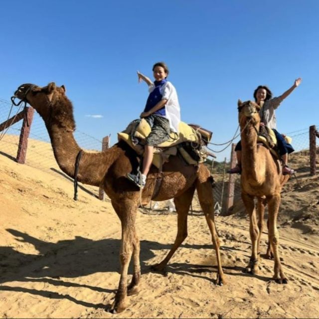 Jodhpur: Desert Camel and Jeep Safari with Traditional Food - Sachchiya Mata Temple in Osian