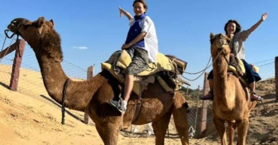 Jodhpur: Desert Camel and Jeep Safari with Traditional Food - The family village and a lesson in local life