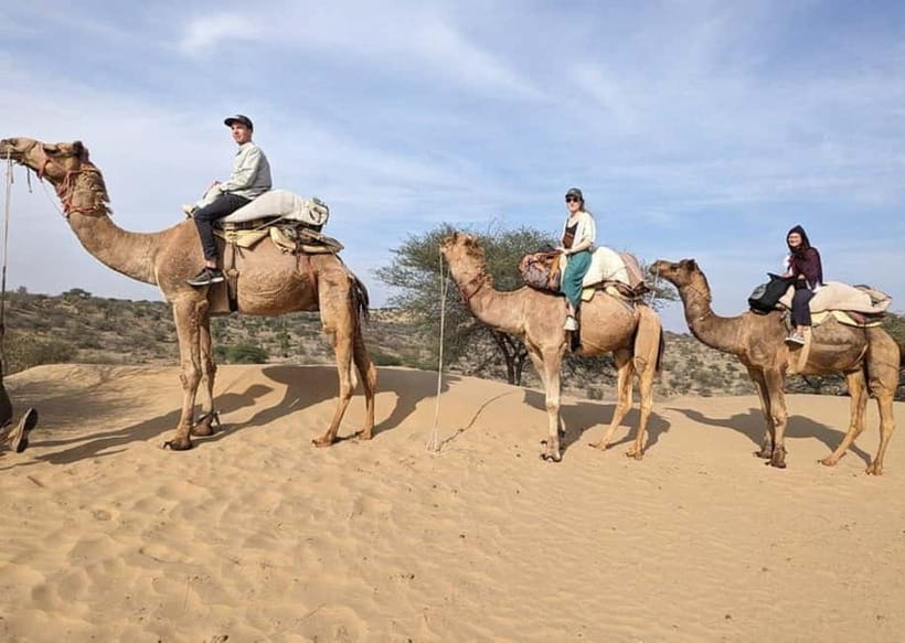 Jodhpur: Overnight Stay in Desert with Camel Safari - A traditional welcome at the village home