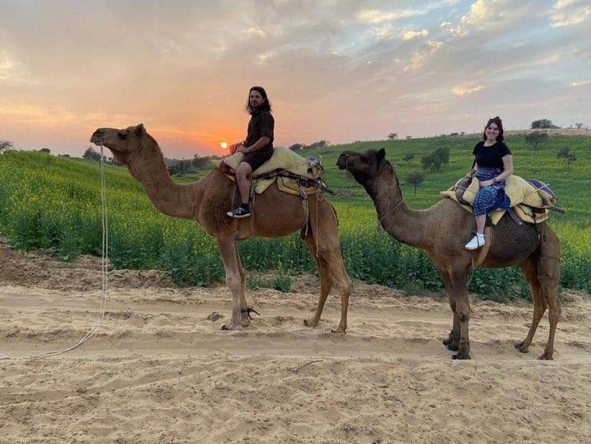Jodhpur: Overnight Stay in Desert with Camel Safari - Dinner cooked over an open fire