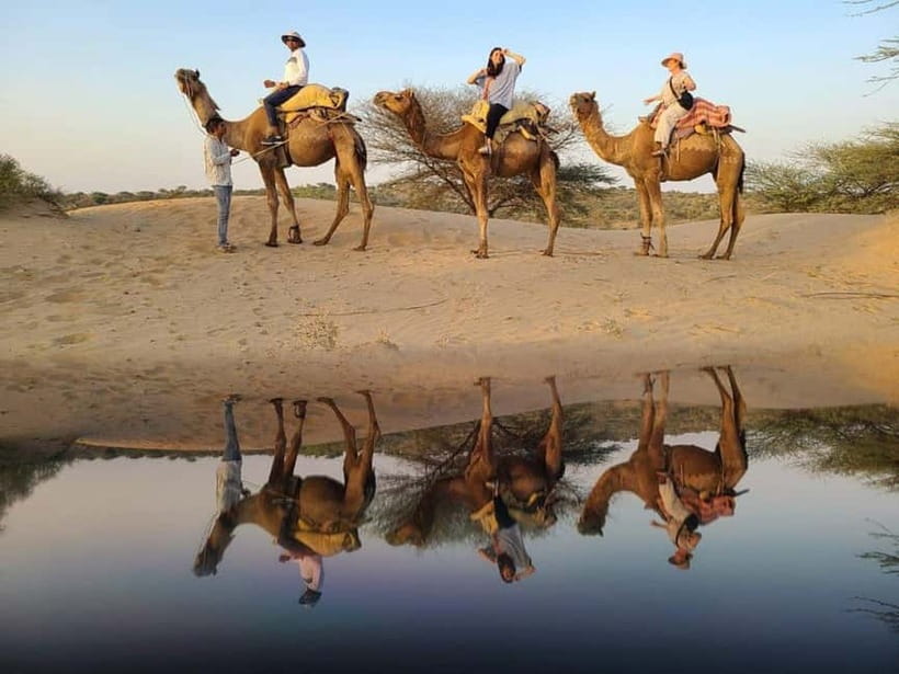 Jodhpur: Overnight Stay in Desert with Camel Safari - Breakfast and the return to Jodhpur
