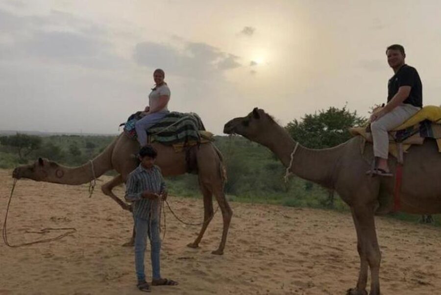 Jodhpur: Overnight Stay in Desert with Camel Safari - What the $35 price really covers