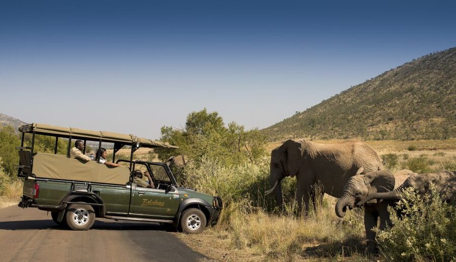 Johannesburg: 2-Day 4-Star Pilanesberg Safari - Day two: Sunrise in Pilanesberg