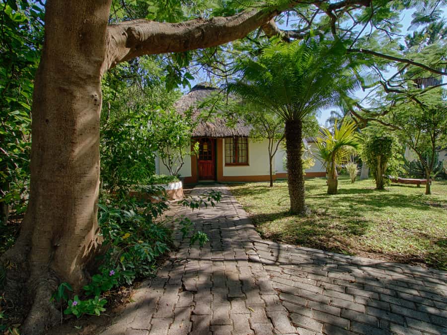 Johannesburg: 3-Day Classic Kruger National Park Safari Tour - Should you book the Johannesburg Kruger safari?
