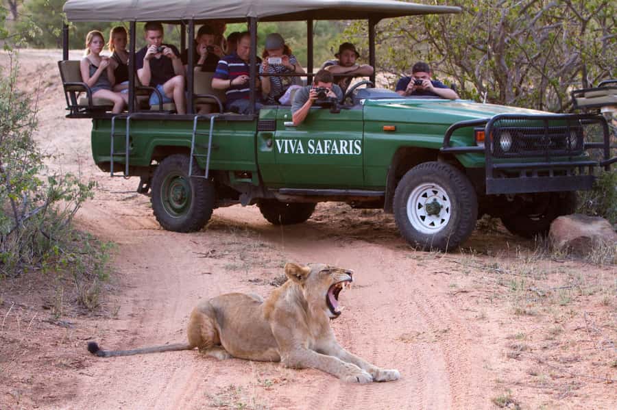 Johannesburg: 3-Day Classic Kruger National Park Safari Tour - What the $959 price really covers