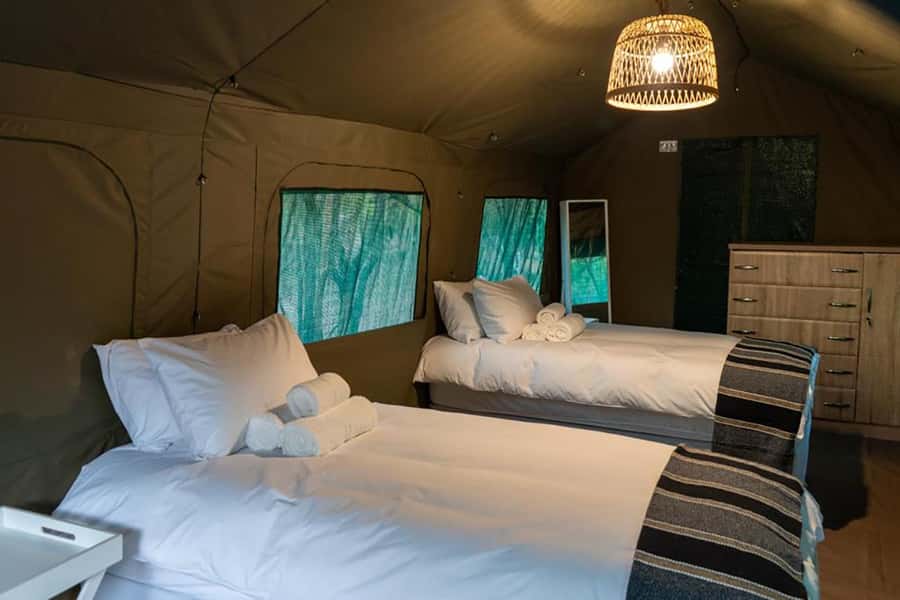 Johannesburg: 3-Day Kruger Budget Glamping Safari - What makes this safari worth considering