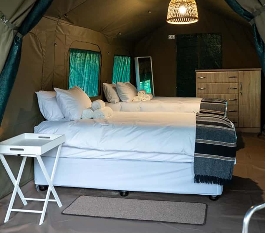 Johannesburg: 3-Day Kruger Budget Glamping Safari - Should you book this Kruger glamping safari?