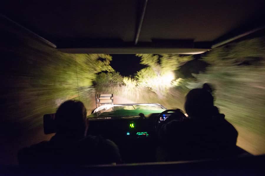 Johannesburg: 4-Day Classic Kruger National Park Safari - Why this four-day safari works well