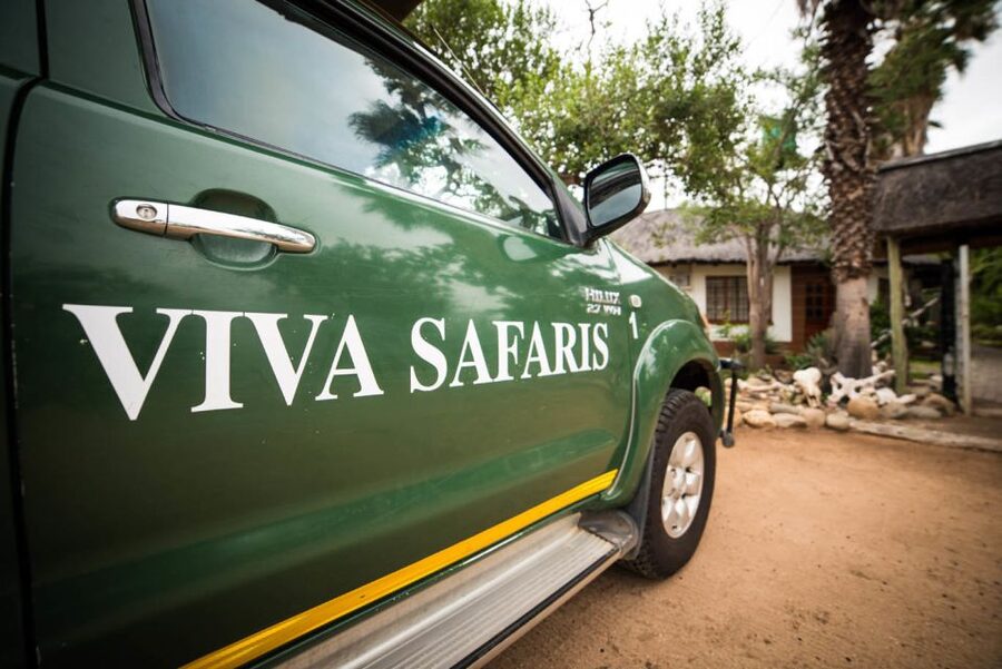 Johannesburg: 5-Day Classic Kruger National Park Safari - Days 3 and 4: The main Kruger game-viewing days