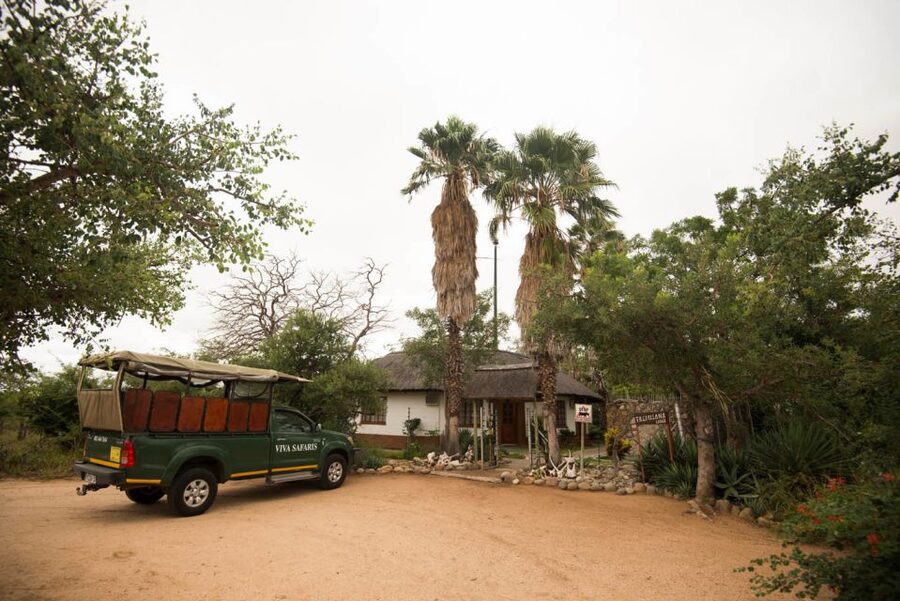 Johannesburg: 5-Day Classic Kruger National Park Safari - Accommodation, food, and daily comfort