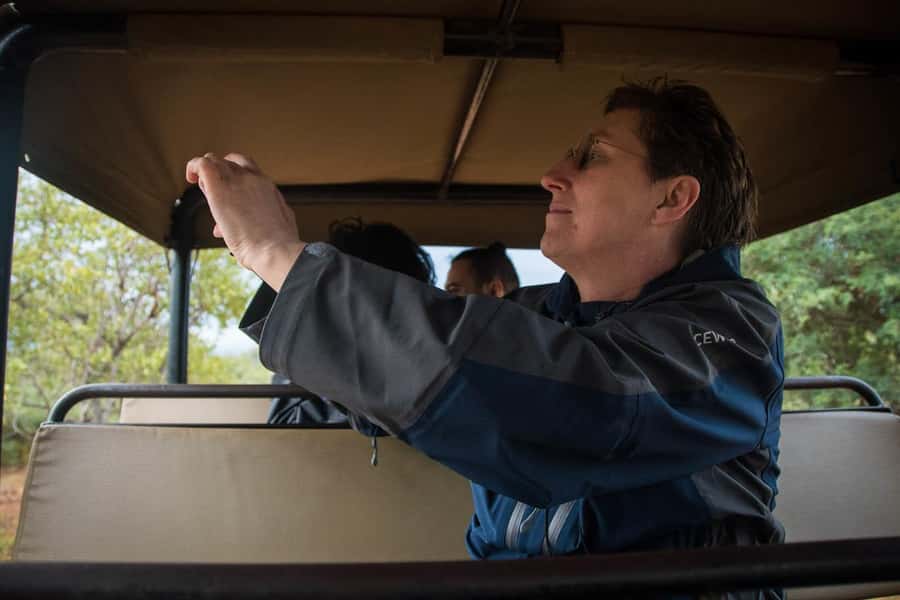 Johannesburg: Affordable 3 Day Kruger Park Safari - Day two: an open game viewer into Kruger