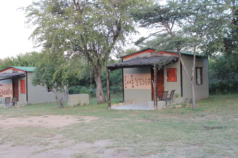 Johannesburg: Affordable 3 Day Kruger Park Safari - Is $846 good value?