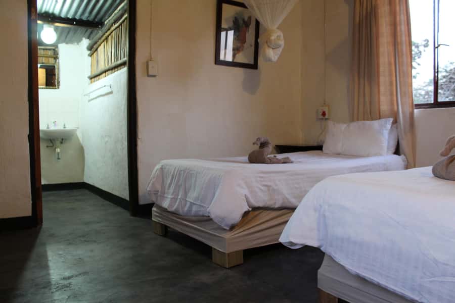 Johannesburg: Affordable 3 Day Kruger Park Safari - Group size, guiding, and the practical feel