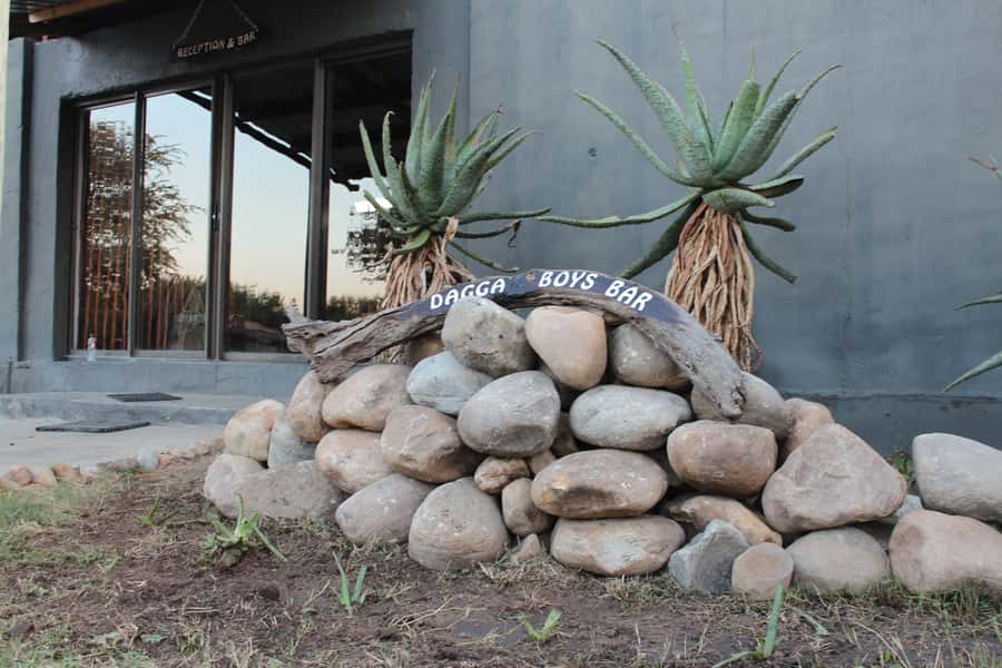 Johannesburg: Affordable 3 Day Kruger Park Safari - Should you book the three-day Kruger safari?