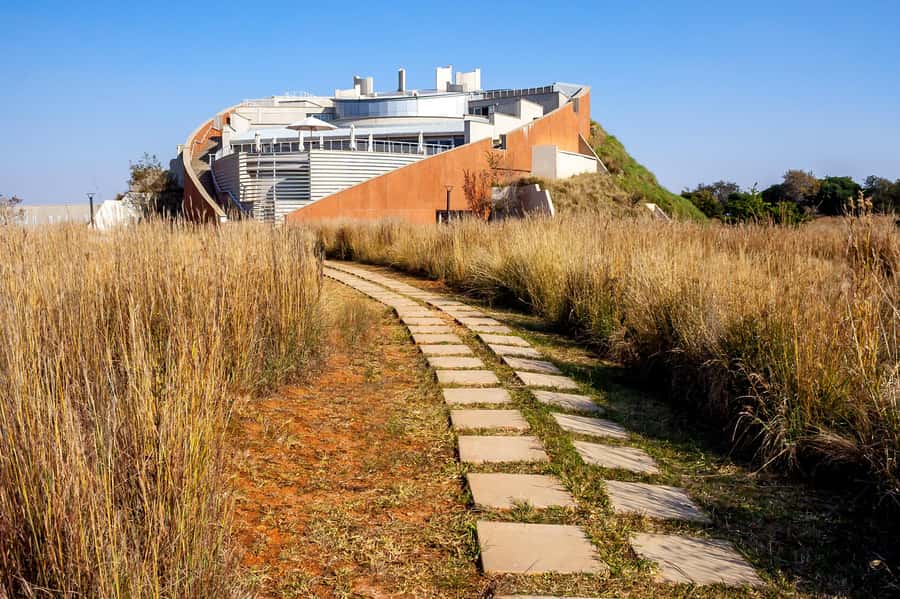 Johannesburg: Lion Park Safari and Cultural Village Tour - The 600-hectare Lion and Safari Park